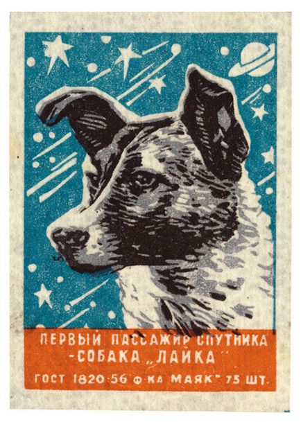 Veverita si sageata - cei mai cunoscuti caini sovietici, care au primit gloria tuturor cosmonauturilor de animale