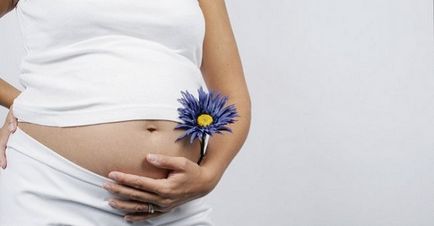 Terhesség vesetranszplantáció után ajánlásait referencia és az áramlás