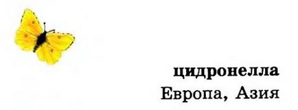 Біоляпи - спеціальна сторінка