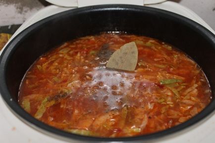 Borscs a multivarka - hogyan kell főzni egy finom leves