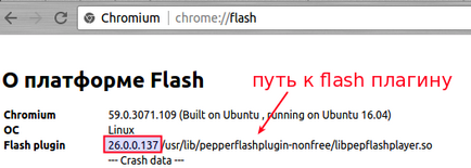 Chromium, російськомовна документація по ubuntu