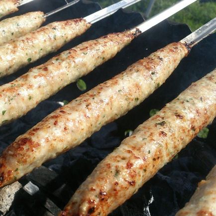 Ce puteți găti în loc de un kebab shish la un foc în timpul unui picnic