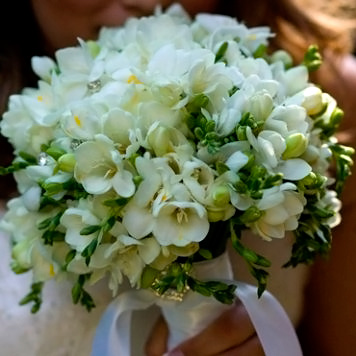 Що означають квіти в букеті нареченої - допомога в підборі квітів для весільного букета від салону -