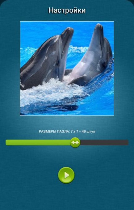 Delfini-puzzle-uri sunt predate pentru a face o imagine de fragmente