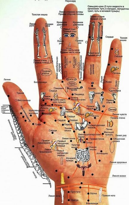 Diagnosticarea corpului de mâini și palme ... dracului