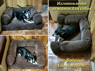Canapele pentru câini - paturi pentru animale de companie - îngrijire pentru animalele de companie preferate