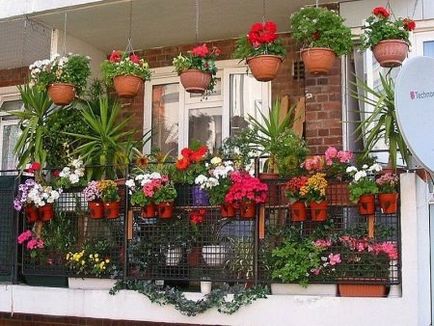 Design cu flori pe balcon (45 fotografii) decorarea balconului floral cu mâinile pe soare