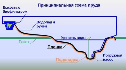 Домашній ставок на ділянці