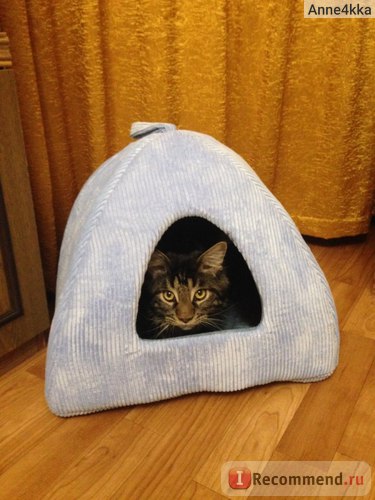Будиночок для кішки природа сієста юрта-преміум - «а ви знали навіщо насправді коту будиночок», відгуки