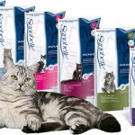 Eucanuba pentru pisicile de recenzii ale medicilor veterinari din care să cumpere și prețul, compoziția și proprietățile, site-ul oficial și