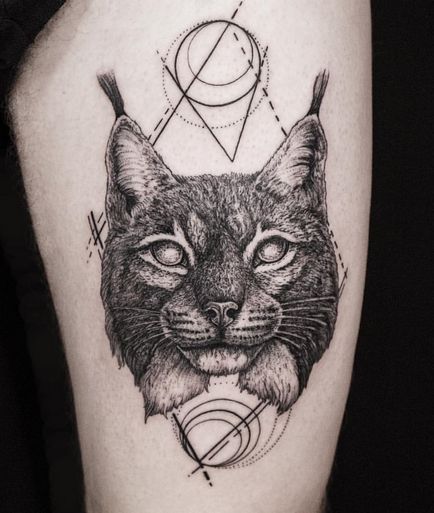 Fotografie și semnificația tattoo lynx