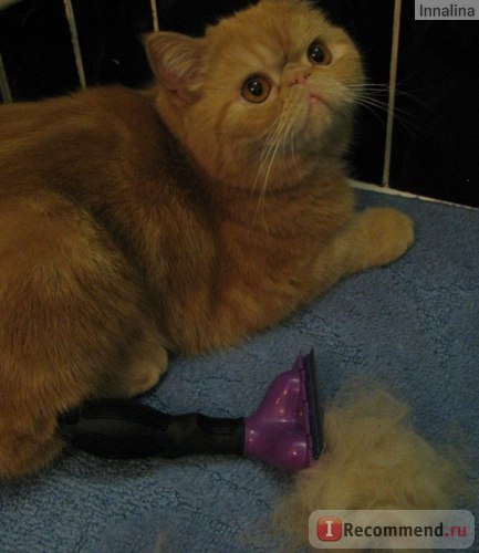 Furminator furminator - 