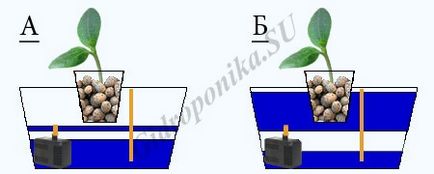 Гідропоніка - огляд основних методів гідропоніки