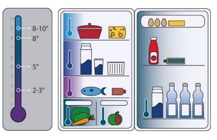 Principalele reguli pentru depozitarea alimentelor în frigider
