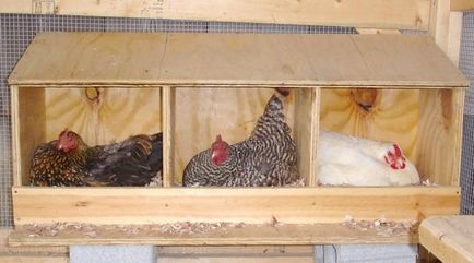 Cuibul pentru găini ouătoare, cu o mașină de preparat ouă cu instrucțiuni de mână și o examinare a fotografiilor
