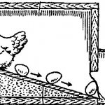 Cuibul pentru găini ouătoare, cu o mașină de preparat ouă cu instrucțiuni de mână și o examinare a fotografiilor