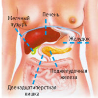 Гормони підшлункової залози, їх функції та наслідки при порушеннях вироблення інсулін, глюкагон,