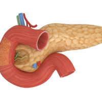 Hormonii pancreasului, funcțiile și consecințele acestora pentru încălcările producției de insulină, glucagon,