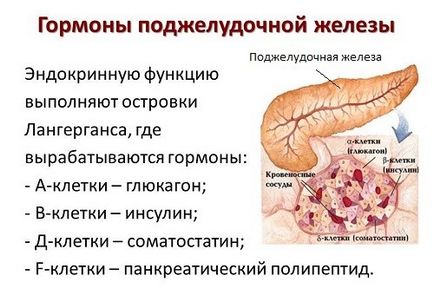 Hormonii pancreasului, funcțiile și consecințele acestora pentru încălcări ale producției de insulină, glucagon,