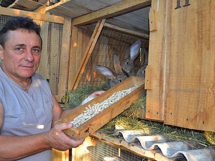 A granulált takarmányok nyulak, nyulak (gyártási granulátumok) A pelletált takarmány nyulak, nyulak