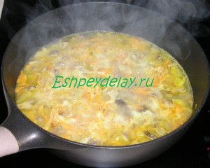 Грибний суп з куркою - рецепт з фото