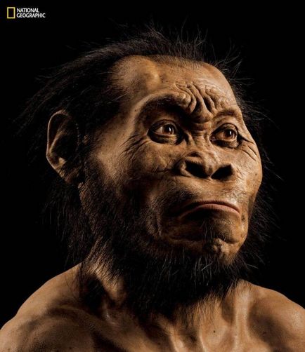 Homo naledi ходив як люди і лазив по деревах як мавпа