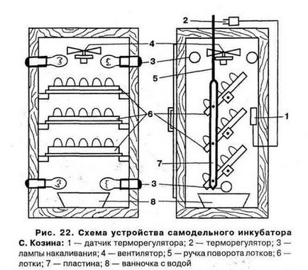 Інкубатор для перепелів з пінопласту своїми руками креслення і інструкція виведення перепелиних яєць