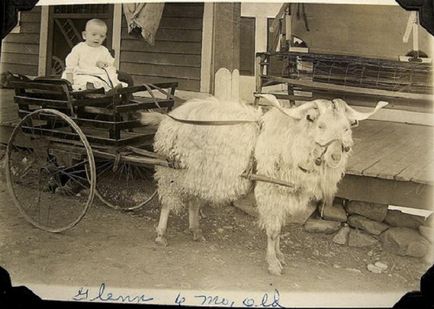 Povestea transformării unui cărucior într-o fotografie