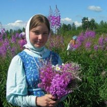 Іван чай застосування в народній медицині, рецепти