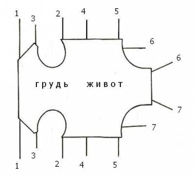 Виготовлення одягу для тварин своїми руками як нове хобі