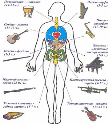 Care sunt tipurile de tratament pentru organele umane?