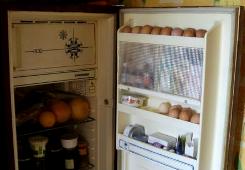 Melyek a hűtőszekrények - lapos, mint élőhely