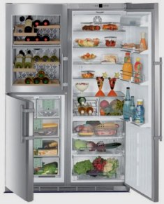 Care sunt frigiderele - apartament ca habitat