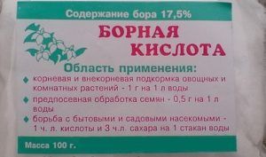 Як позбутися від чорних великих тарганів у квартирі - топ кошти