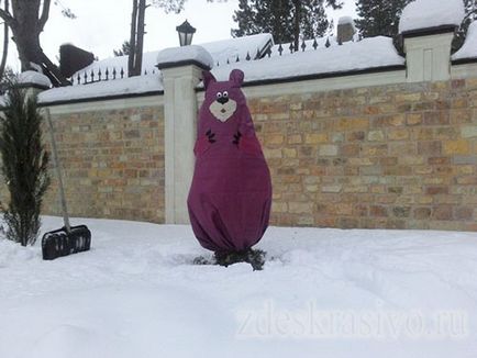 Cum să acoperim frumos și corect plantele în timpul iernii pe balcon