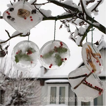 Cum să acoperim frumos și corect plantele în timpul iernii pe balcon