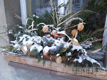 Cum să acoperim frumos și corect plantele în timpul iernii pe balcon