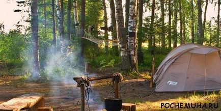 Cum să vă pregătiți pentru un picnic, să răspundeți la întrebări