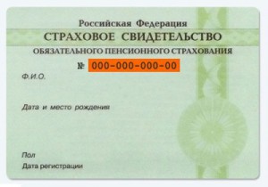 Як отримати СНІЛС на дитину в москві правила оформлення, документи для отримання і місця видачі