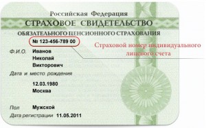 Як отримати СНІЛС на дитину в москві правила оформлення, документи для отримання і місця видачі