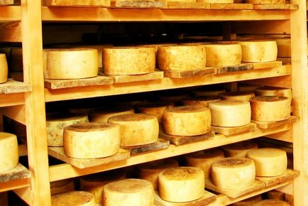 Cum să păstrați în mod corespunzător brânza