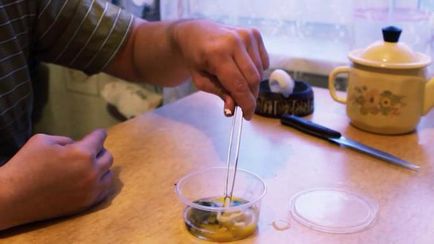 Hogyan készítsünk egy homunculus az otthon-e vagy sem
