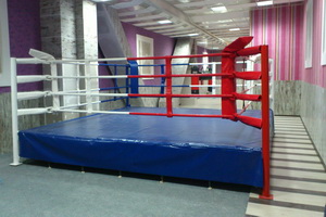 Як вибрати боксерський ринг