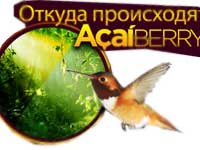 Капсули acaiberry для схуднення купити