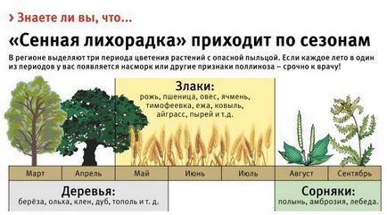 Кашель при полінозі або сінну лихоманку, симптоми і лікування, сезонний нежить у дітей і дорослих