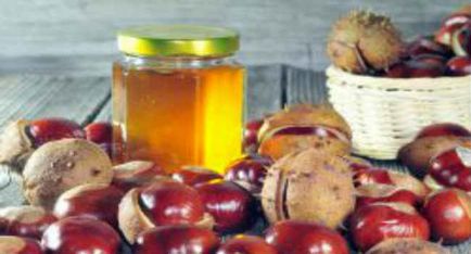 Каштановий мед корисні властивості, застосування і протипоказання