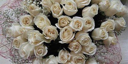 De ce sunt visate trandafirii albi