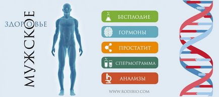 Kyst al-Hindi - piept de medicina de familie - rodibio