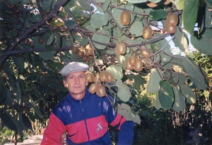Kiwi Nikopol, Ukrajna (kiwi) Kiwi Nikopol, Ukrajna