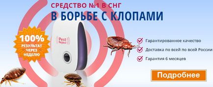 Bug-войник - снимка и описание на бръмбар войник, как да се справят с насекоми в областта